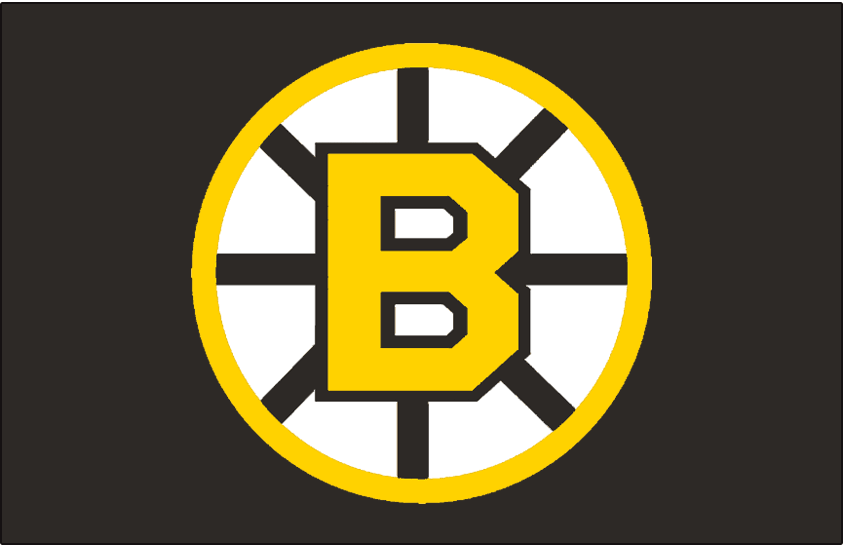 Boston Bruins 1955-1995 Jersey Logo iron on transfers for T-shirts